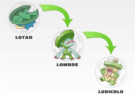 evolución de lotad.